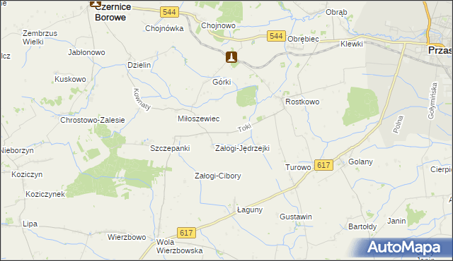 mapa Toki gmina Czernice Borowe, Toki gmina Czernice Borowe na mapie Targeo