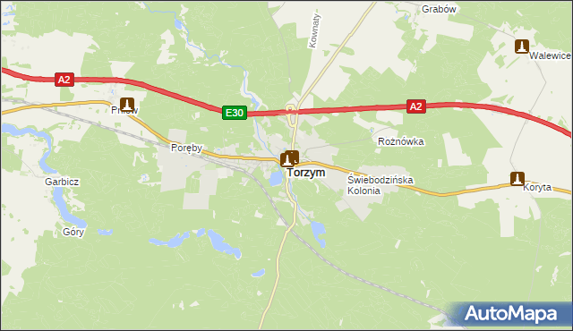 mapa Torzym, Torzym na mapie Targeo