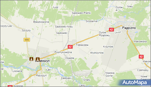 mapa Trębaczew gmina Działoszyn, Trębaczew gmina Działoszyn na mapie Targeo