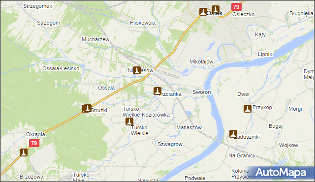mapa Trzcianka gmina Osiek, Trzcianka gmina Osiek na mapie Targeo