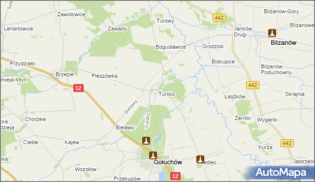 mapa Tursko gmina Gołuchów, Tursko gmina Gołuchów na mapie Targeo