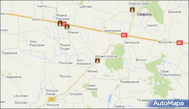 mapa Witowo-Kolonia, Witowo-Kolonia na mapie Targeo