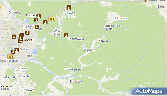 mapa Wolaniny, Wolaniny na mapie Targeo