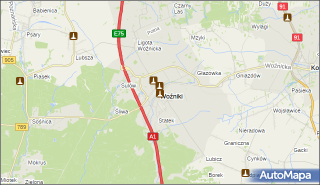 mapa Woźniki powiat lubliniecki, Woźniki powiat lubliniecki na mapie Targeo
