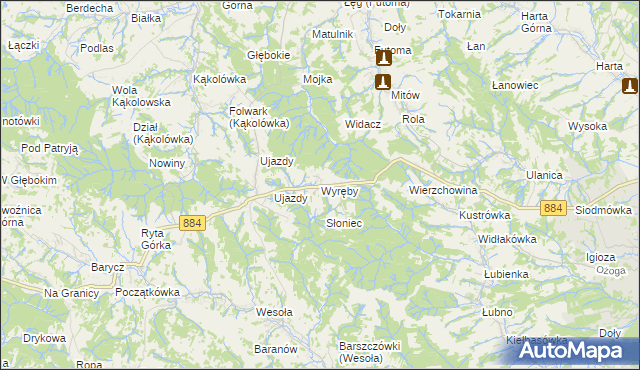 mapa Wyręby gmina Dynów, Wyręby gmina Dynów na mapie Targeo