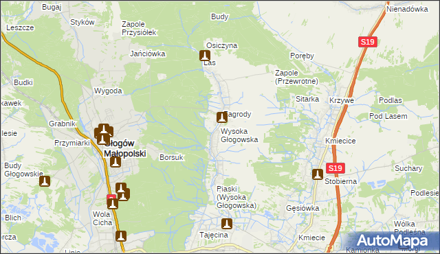 mapa Wysoka Głogowska, Wysoka Głogowska na mapie Targeo