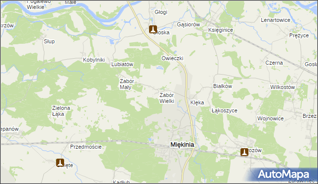 mapa Zabór Wielki, Zabór Wielki na mapie Targeo