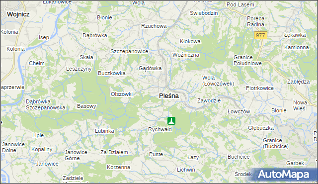 mapa Pleśna powiat tarnowski, Pleśna powiat tarnowski na mapie Targeo