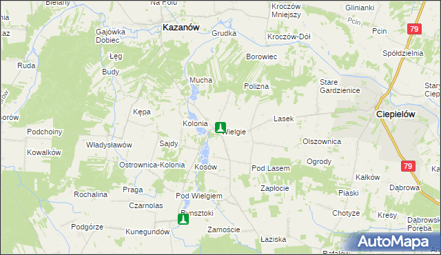 mapa Wielgie gmina Ciepielów, Wielgie gmina Ciepielów na mapie Targeo