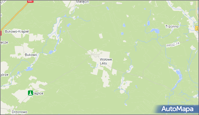 mapa Wołowe Lasy, Wołowe Lasy na mapie Targeo