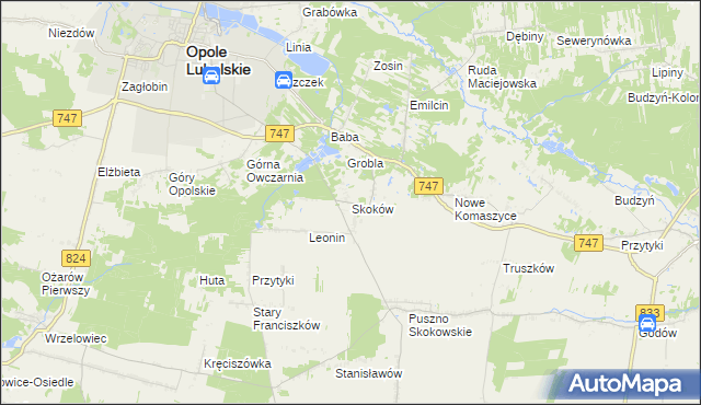 mapa Skoków gmina Opole Lubelskie, Skoków gmina Opole Lubelskie na mapie Targeo