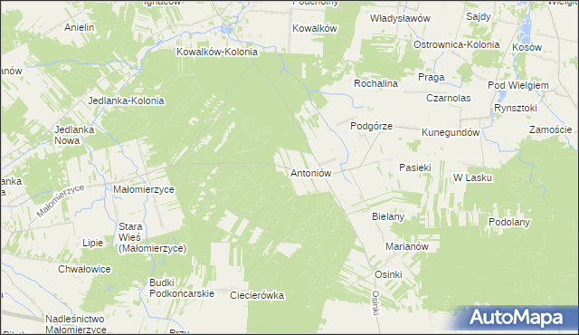 mapa Antoniów gmina Ciepielów, Antoniów gmina Ciepielów na mapie Targeo
