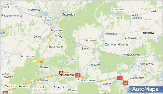 mapa Bieliny gmina Gielniów, Bieliny gmina Gielniów na mapie Targeo