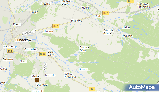 mapa Borowa Góra gmina Lubaczów, Borowa Góra gmina Lubaczów na mapie Targeo