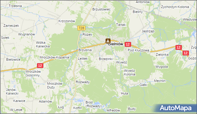 mapa Brzezinki gmina Gielniów, Brzezinki gmina Gielniów na mapie Targeo