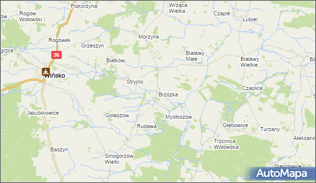 mapa Brzózka gmina Wińsko, Brzózka gmina Wińsko na mapie Targeo