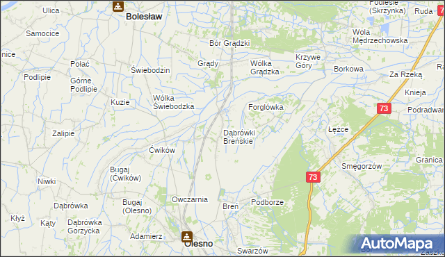 mapa Dąbrówki Breńskie, Dąbrówki Breńskie na mapie Targeo