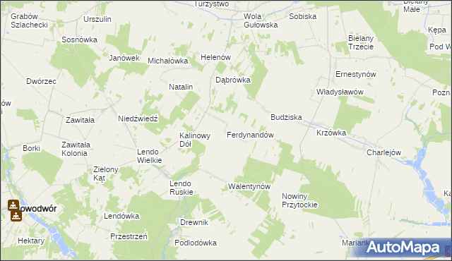 mapa Ferdynandów gmina Adamów, Ferdynandów gmina Adamów na mapie Targeo