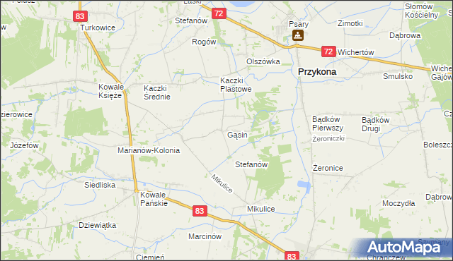 mapa Gąsin, Gąsin na mapie Targeo