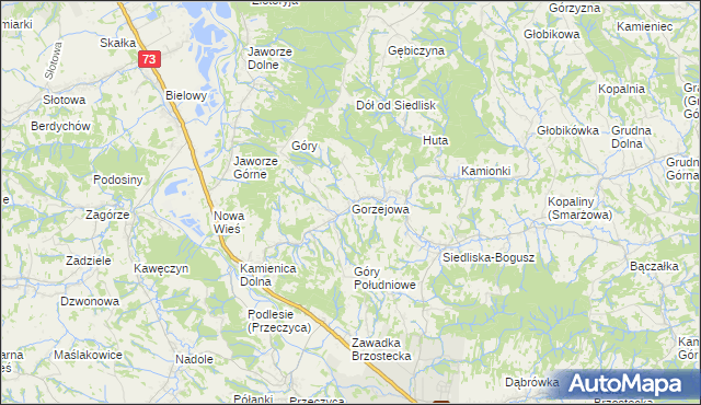 mapa Gorzejowa, Gorzejowa na mapie Targeo