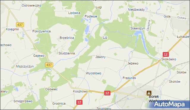 mapa Jawory gmina Borek Wielkopolski, Jawory gmina Borek Wielkopolski na mapie Targeo