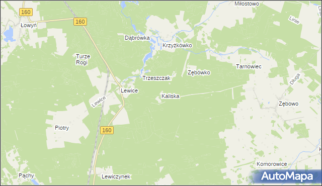 mapa Kaliska gmina Międzychód, Kaliska gmina Międzychód na mapie Targeo