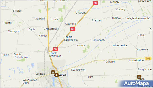 mapa Kozuby gmina Łęczyca, Kozuby gmina Łęczyca na mapie Targeo