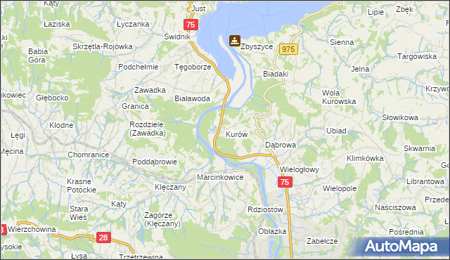 mapa Kurów gmina Chełmiec, Kurów gmina Chełmiec na mapie Targeo