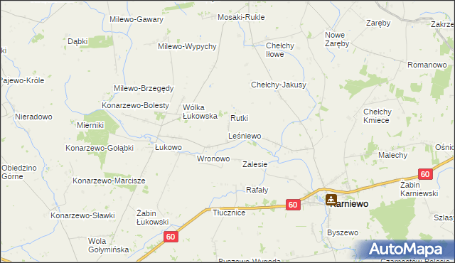 mapa Leśniewo gmina Karniewo, Leśniewo gmina Karniewo na mapie Targeo