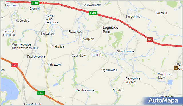 mapa Lubień gmina Legnickie Pole, Lubień gmina Legnickie Pole na mapie Targeo