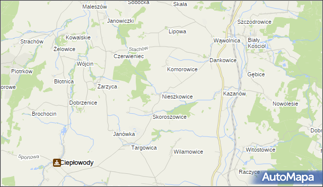 mapa Nieszkowice gmina Strzelin, Nieszkowice gmina Strzelin na mapie Targeo