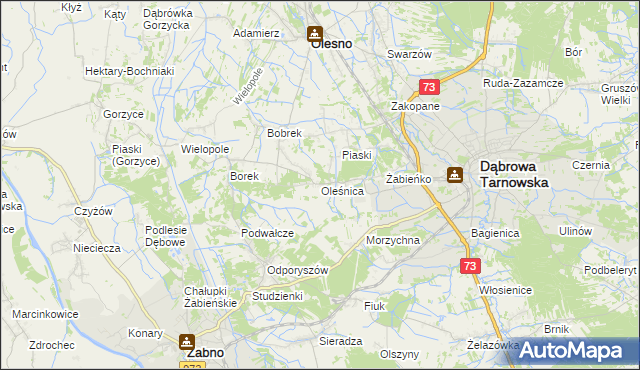 mapa Oleśnica gmina Olesno, Oleśnica gmina Olesno na mapie Targeo