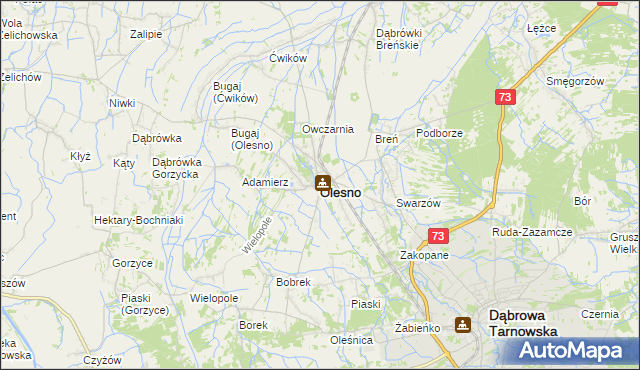 mapa Olesno powiat dąbrowski, Olesno powiat dąbrowski na mapie Targeo