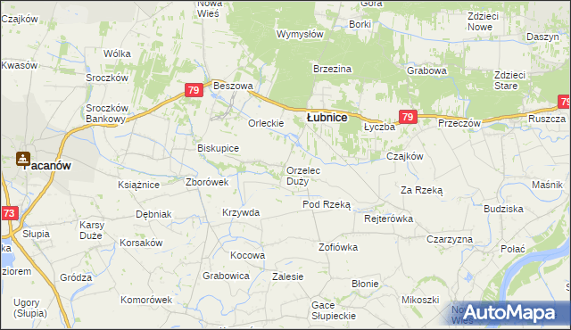 mapa Orzelec Duży, Orzelec Duży na mapie Targeo