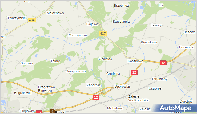 mapa Osówiec gmina Borek Wielkopolski, Osówiec gmina Borek Wielkopolski na mapie Targeo