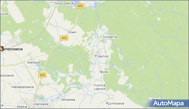 mapa Przechód gmina Korfantów, Przechód gmina Korfantów na mapie Targeo