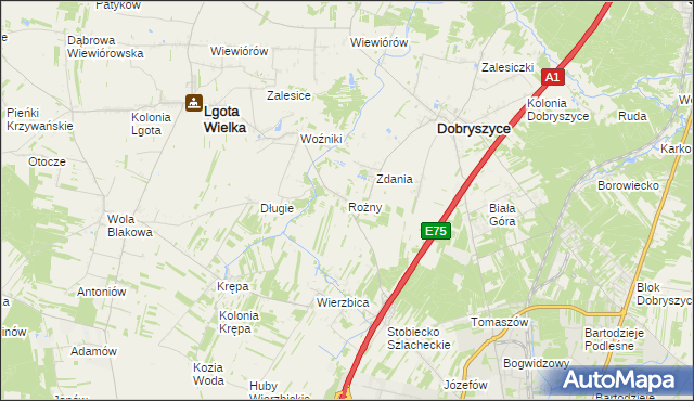 mapa Rożny, Rożny na mapie Targeo