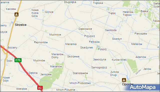 mapa Skarżynek gmina Oporów, Skarżynek gmina Oporów na mapie Targeo