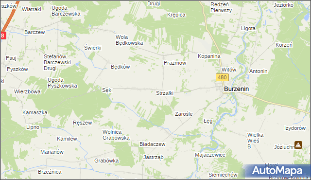 mapa Strzałki gmina Burzenin, Strzałki gmina Burzenin na mapie Targeo