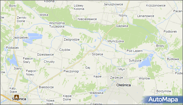 mapa Strzelce gmina Oleśnica, Strzelce gmina Oleśnica na mapie Targeo