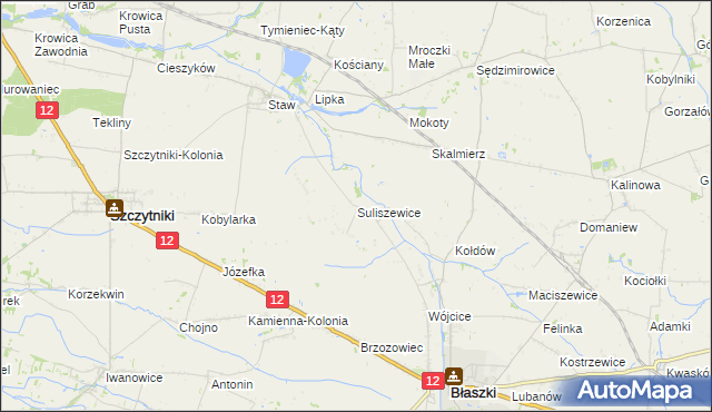 mapa Suliszewice gmina Błaszki, Suliszewice gmina Błaszki na mapie Targeo