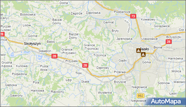 mapa Trzcinica gmina Jasło, Trzcinica gmina Jasło na mapie Targeo