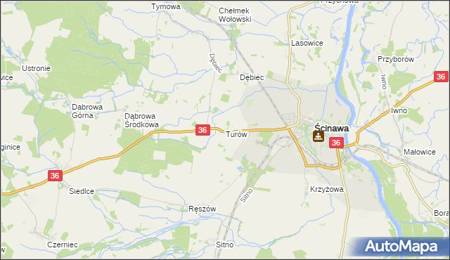 mapa Turów gmina Ścinawa, Turów gmina Ścinawa na mapie Targeo