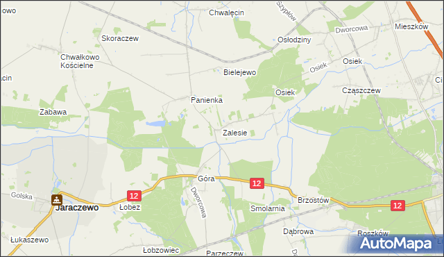 mapa Zalesie gmina Jaraczewo, Zalesie gmina Jaraczewo na mapie Targeo