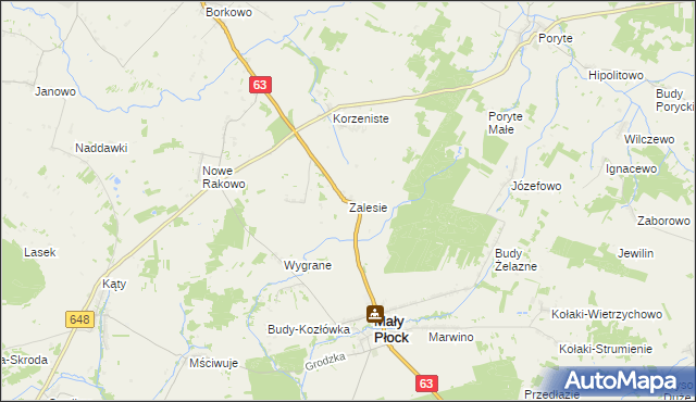 mapa Zalesie gmina Mały Płock, Zalesie gmina Mały Płock na mapie Targeo
