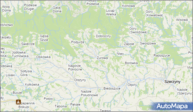 mapa Żurowa, Żurowa na mapie Targeo