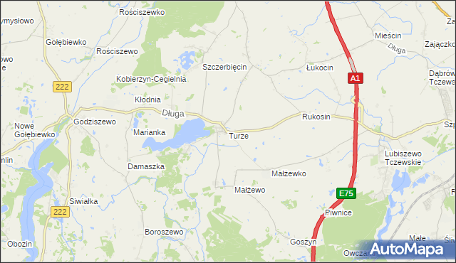 mapa Turze gmina Tczew, Turze gmina Tczew na mapie Targeo