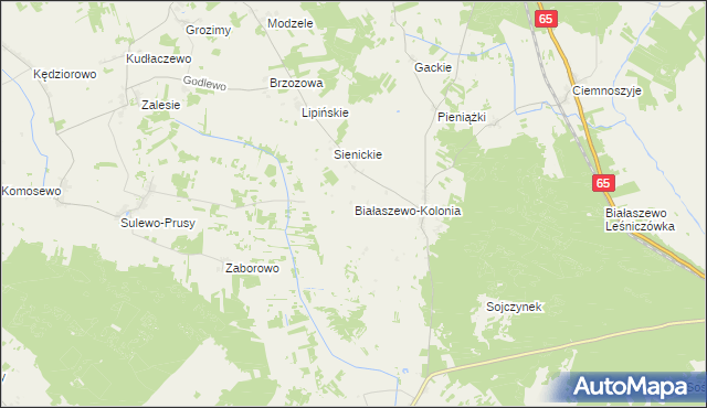 mapa Białaszewo-Kolonia, Białaszewo-Kolonia na mapie Targeo