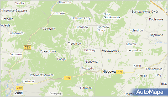 mapa Brzeziny gmina Niegowa, Brzeziny gmina Niegowa na mapie Targeo