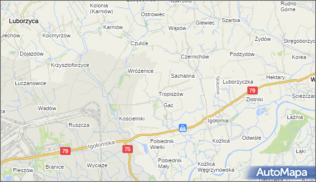 mapa Tropiszów, Tropiszów na mapie Targeo